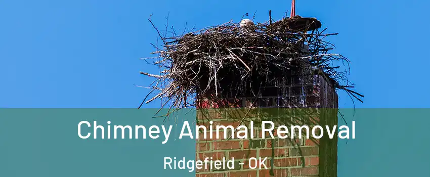 Chimney Animal Removal Ridgefield - OK