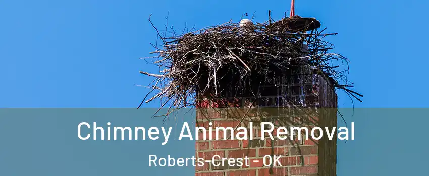 Chimney Animal Removal Roberts-Crest - OK