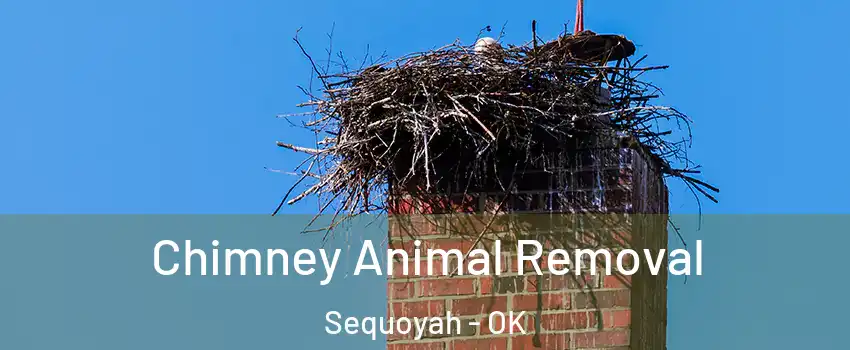 Chimney Animal Removal Sequoyah - OK