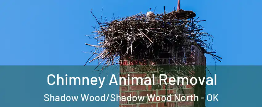Chimney Animal Removal Shadow Wood/Shadow Wood North - OK