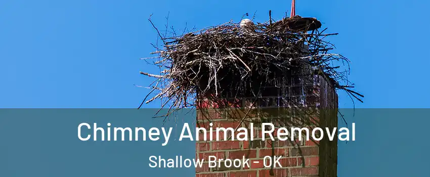 Chimney Animal Removal Shallow Brook - OK