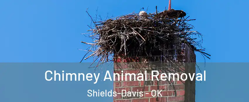 Chimney Animal Removal Shields-Davis - OK