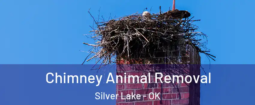 Chimney Animal Removal Silver Lake - OK