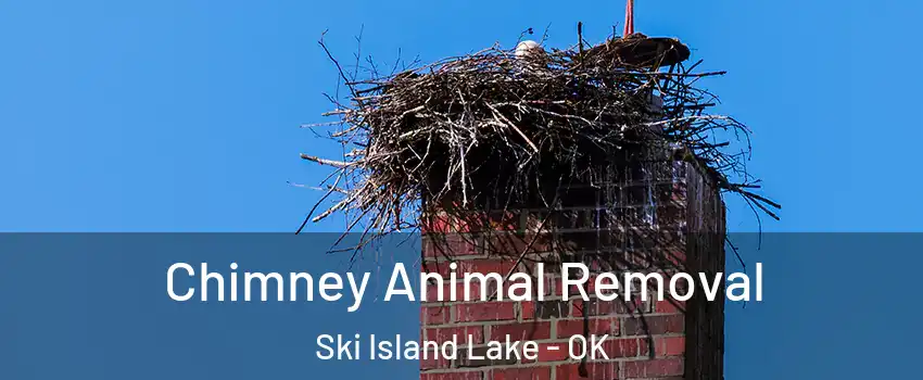 Chimney Animal Removal Ski Island Lake - OK