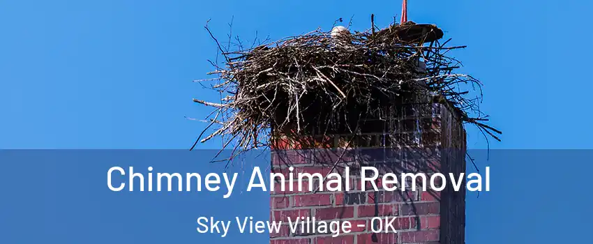 Chimney Animal Removal Sky View Village - OK