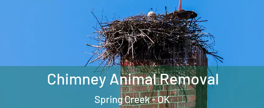 Chimney Animal Removal Spring Creek - OK