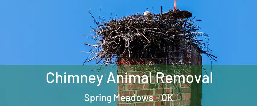 Chimney Animal Removal Spring Meadows - OK