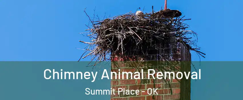 Chimney Animal Removal Summit Place - OK