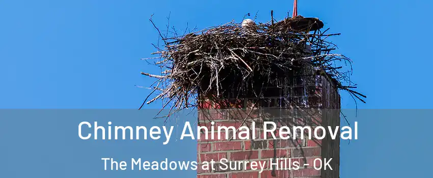 Chimney Animal Removal The Meadows at Surrey Hills - OK