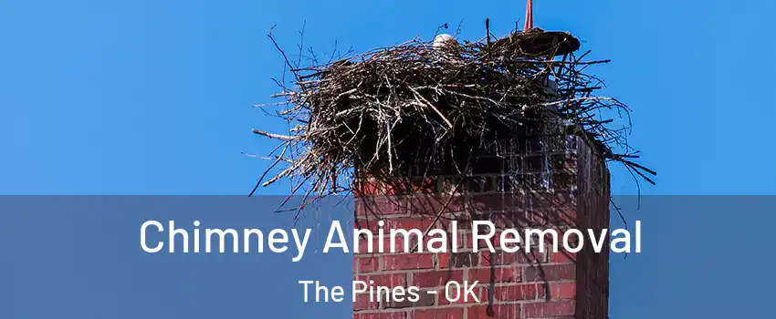 Chimney Animal Removal The Pines - OK