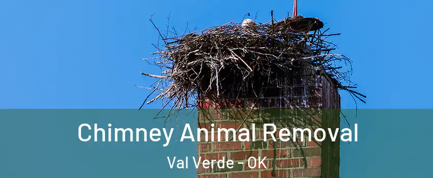 Chimney Animal Removal Val Verde - OK