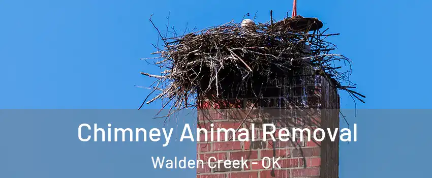 Chimney Animal Removal Walden Creek - OK