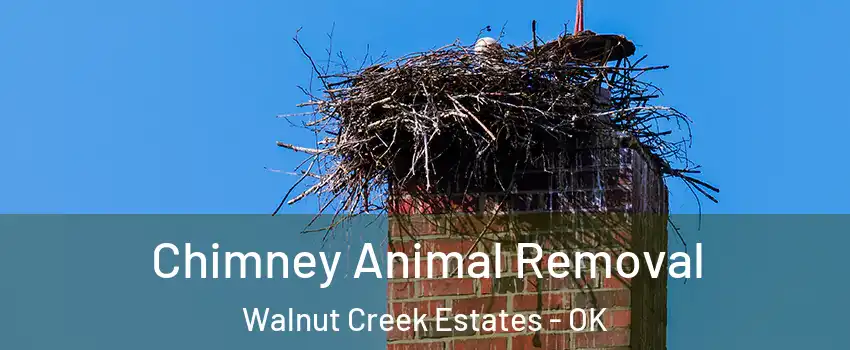 Chimney Animal Removal Walnut Creek Estates - OK
