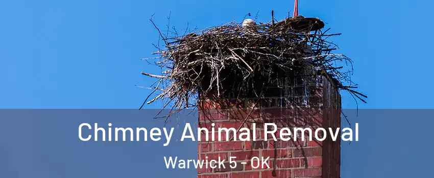 Chimney Animal Removal Warwick 5 - OK