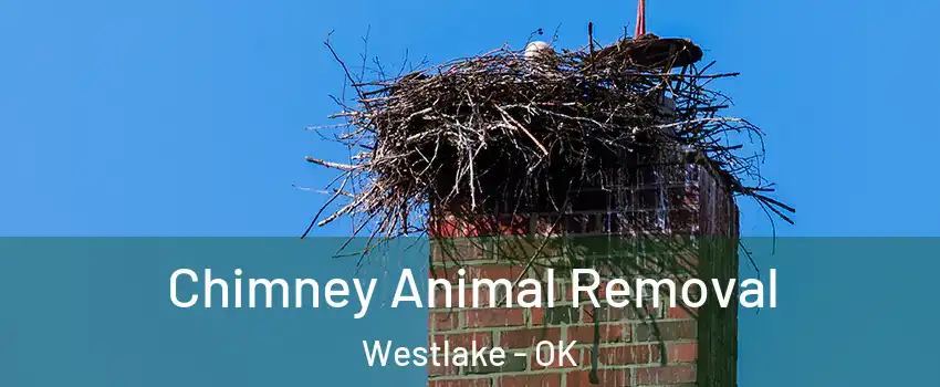 Chimney Animal Removal Westlake - OK