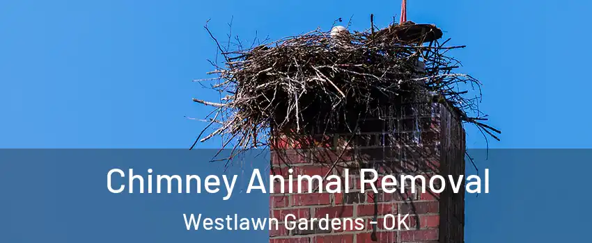 Chimney Animal Removal Westlawn Gardens - OK