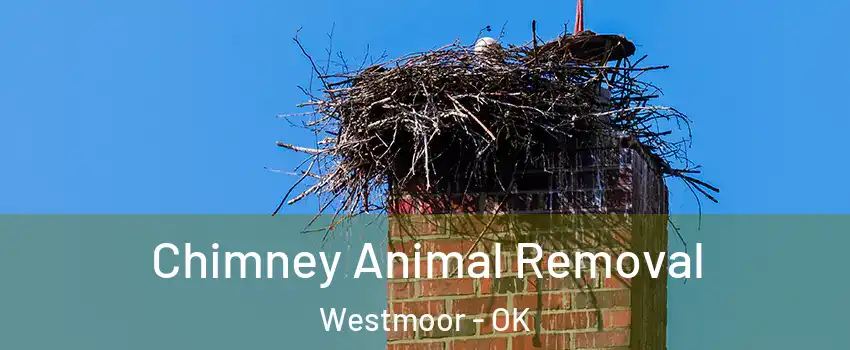 Chimney Animal Removal Westmoor - OK