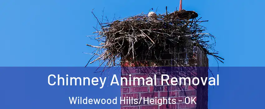 Chimney Animal Removal Wildewood Hills/Heights - OK