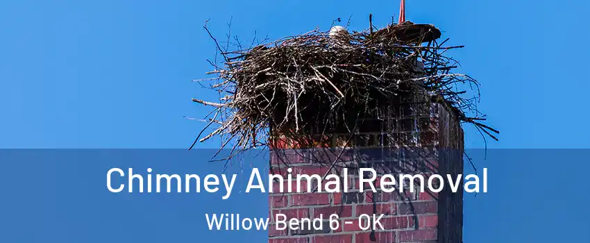 Chimney Animal Removal Willow Bend 6 - OK