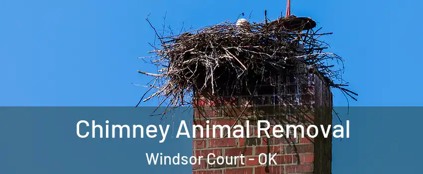 Chimney Animal Removal Windsor Court - OK