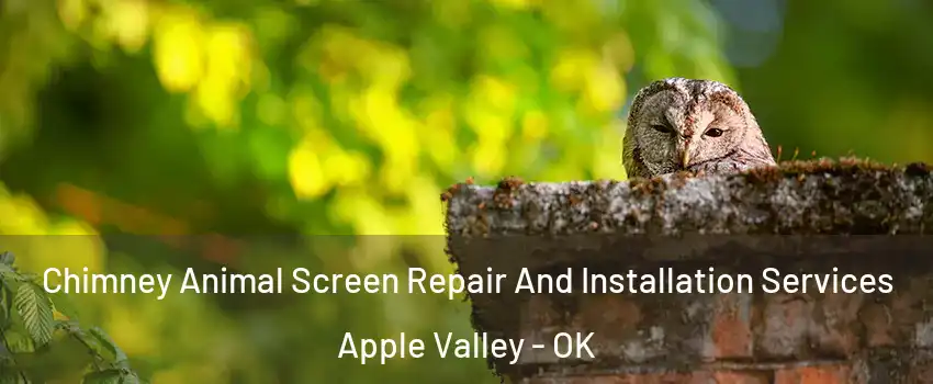Chimney Animal Screen Repair And Installation Services Apple Valley - OK