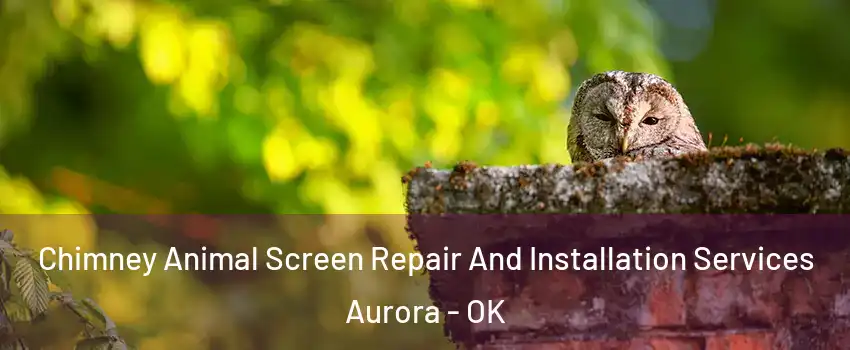 Chimney Animal Screen Repair And Installation Services Aurora - OK