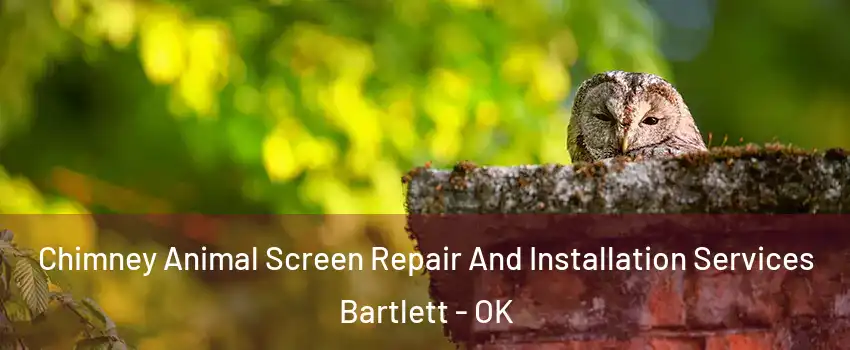 Chimney Animal Screen Repair And Installation Services Bartlett - OK