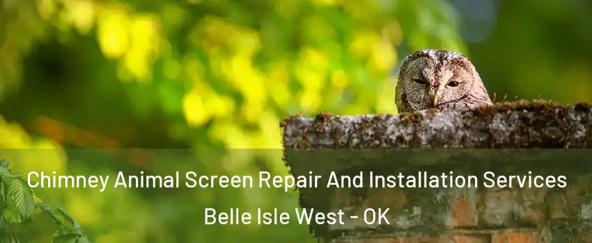 Chimney Animal Screen Repair And Installation Services Belle Isle West - OK