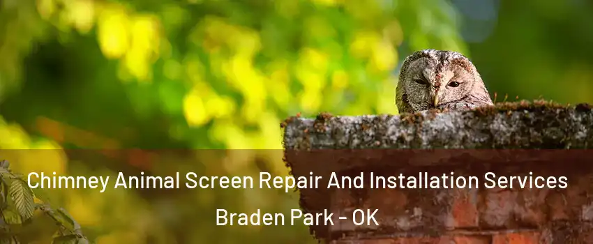 Chimney Animal Screen Repair And Installation Services Braden Park - OK