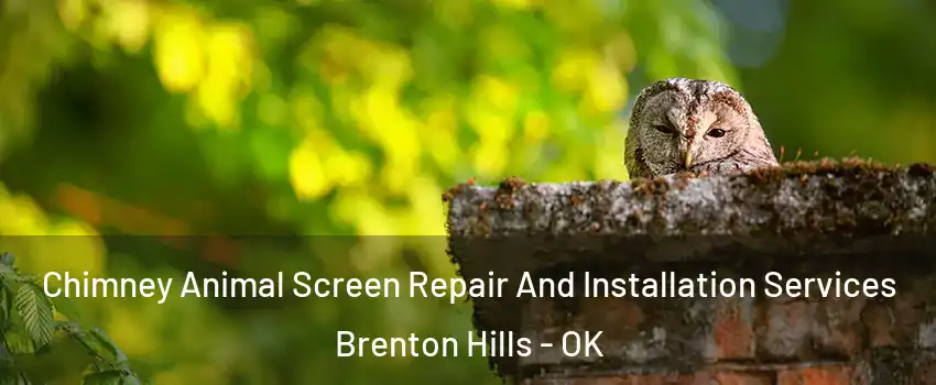 Chimney Animal Screen Repair And Installation Services Brenton Hills - OK