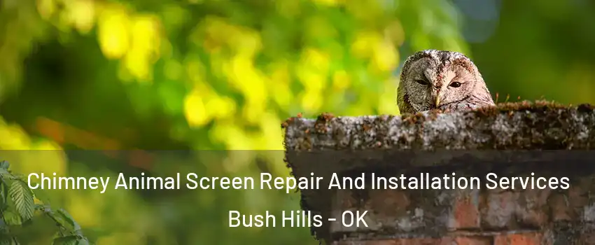 Chimney Animal Screen Repair And Installation Services Bush Hills - OK