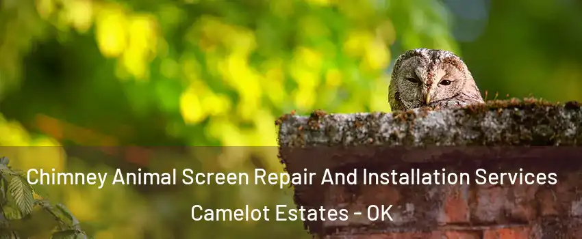 Chimney Animal Screen Repair And Installation Services Camelot Estates - OK