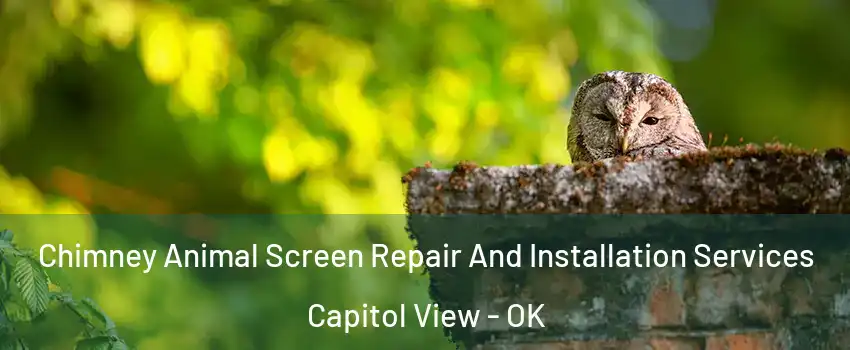 Chimney Animal Screen Repair And Installation Services Capitol View - OK