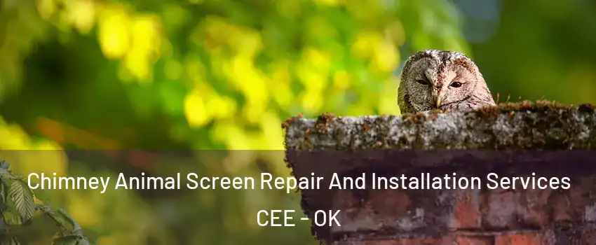 Chimney Animal Screen Repair And Installation Services CEE - OK