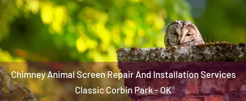 Chimney Animal Screen Repair And Installation Services Classic Corbin Park - OK