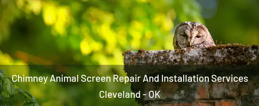 Chimney Animal Screen Repair And Installation Services Cleveland - OK