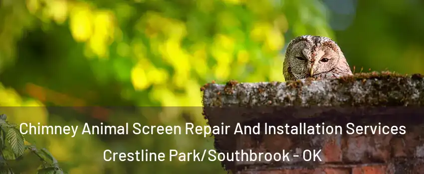 Chimney Animal Screen Repair And Installation Services Crestline Park/Southbrook - OK