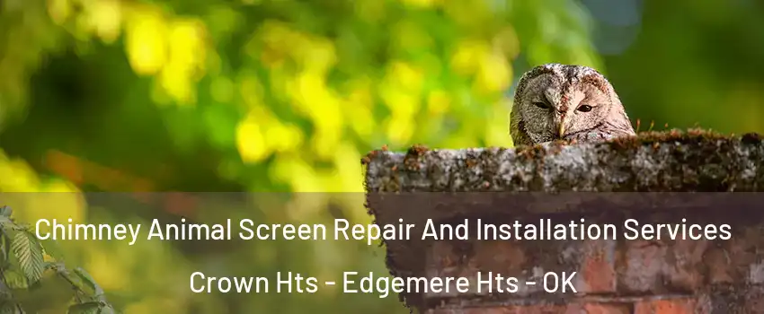 Chimney Animal Screen Repair And Installation Services Crown Hts - Edgemere Hts - OK