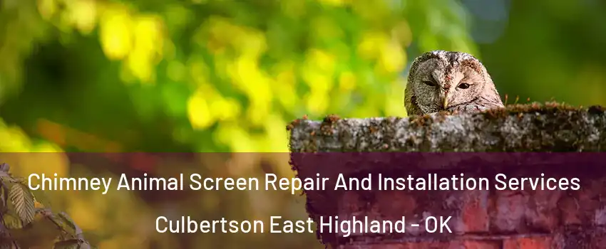 Chimney Animal Screen Repair And Installation Services Culbertson East Highland - OK