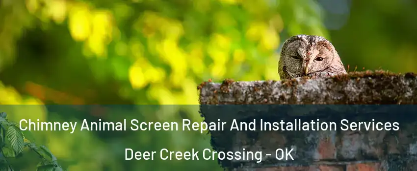 Chimney Animal Screen Repair And Installation Services Deer Creek Crossing - OK
