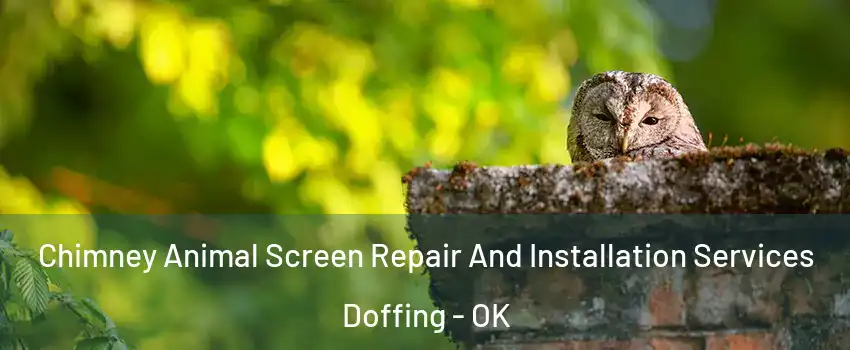 Chimney Animal Screen Repair And Installation Services Doffing - OK