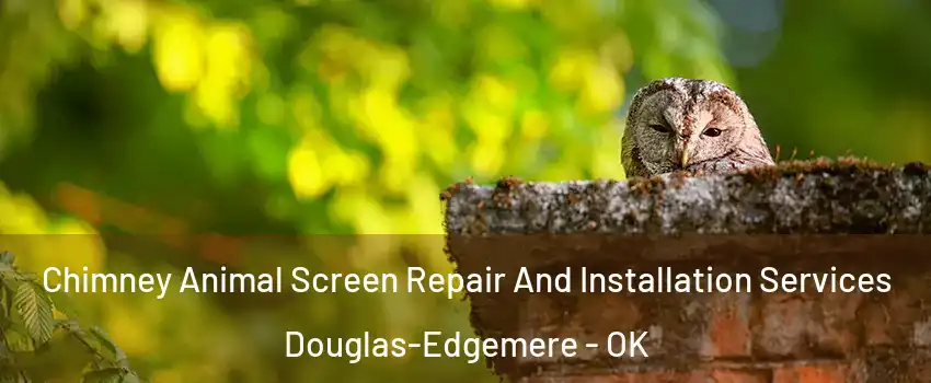 Chimney Animal Screen Repair And Installation Services Douglas-Edgemere - OK