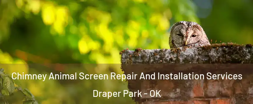 Chimney Animal Screen Repair And Installation Services Draper Park - OK