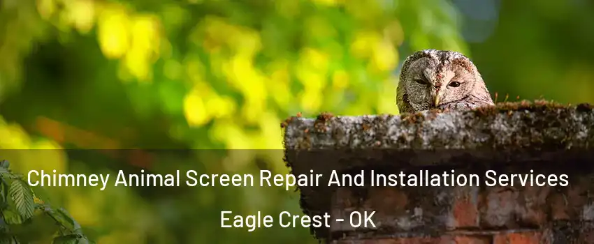 Chimney Animal Screen Repair And Installation Services Eagle Crest - OK