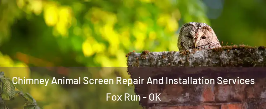 Chimney Animal Screen Repair And Installation Services Fox Run - OK