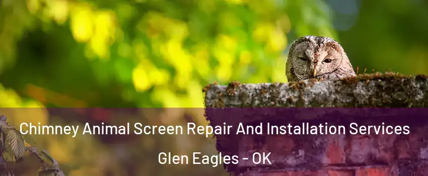 Chimney Animal Screen Repair And Installation Services Glen Eagles - OK