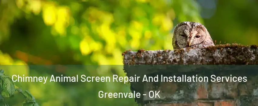 Chimney Animal Screen Repair And Installation Services Greenvale - OK