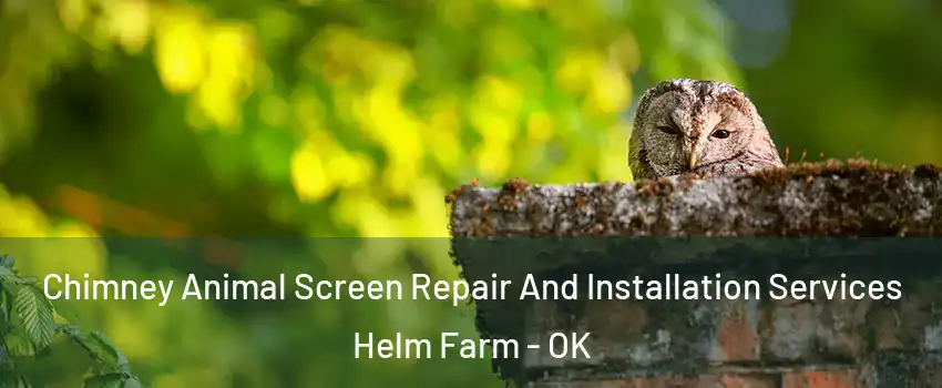 Chimney Animal Screen Repair And Installation Services Helm Farm - OK