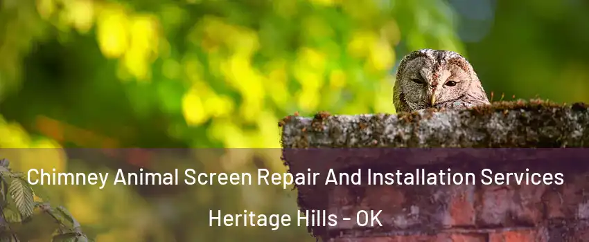 Chimney Animal Screen Repair And Installation Services Heritage Hills - OK