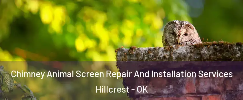 Chimney Animal Screen Repair And Installation Services Hillcrest - OK